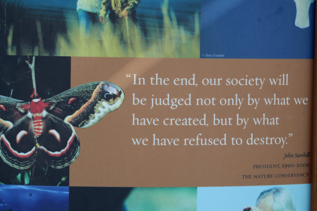 The Nature Conservance Quote