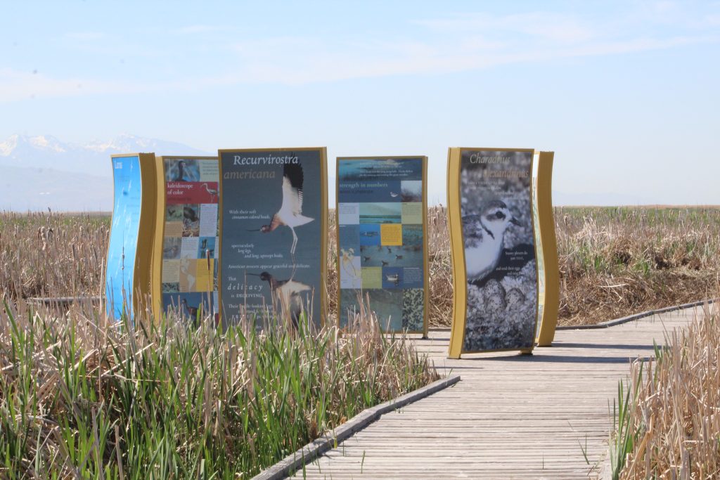 Information at Great Salt Lake Shorelands Preserve