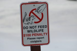 Do Not Feed the Wildlife